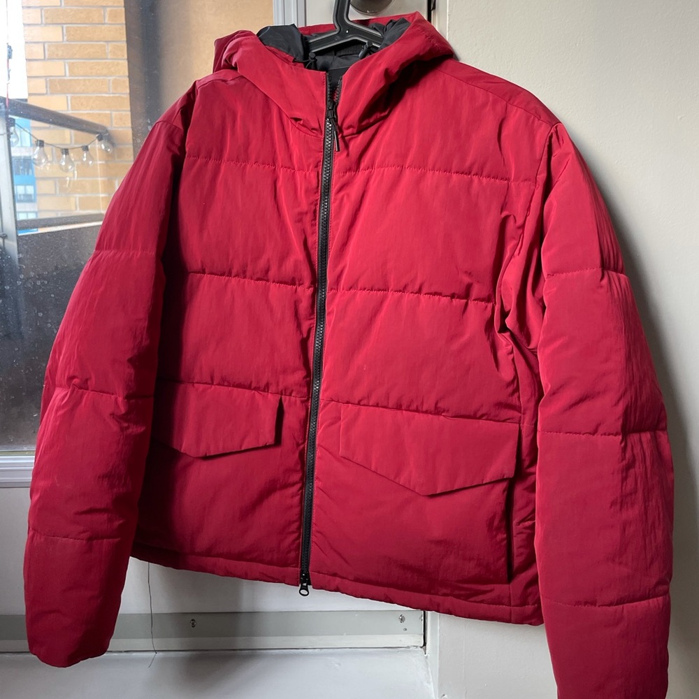 Everlane Short Puffer in Medium